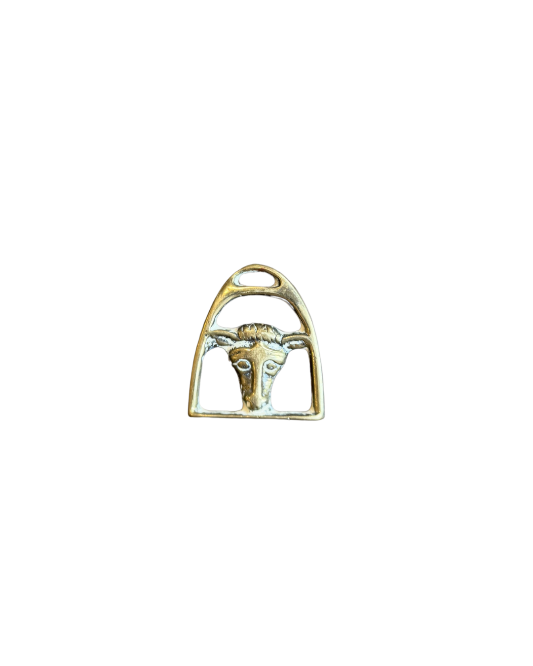 Donkey Medallion