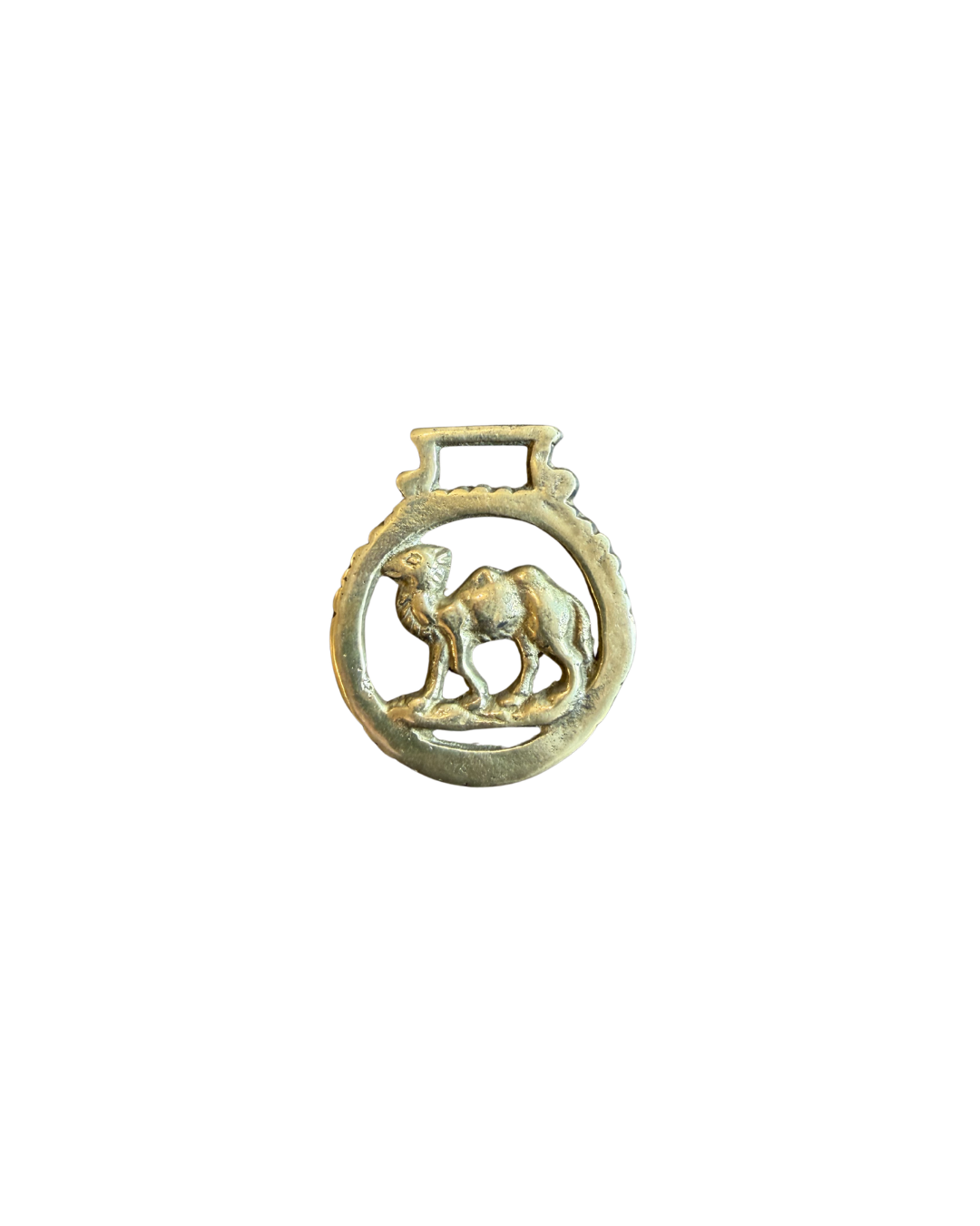 Camel Medallion